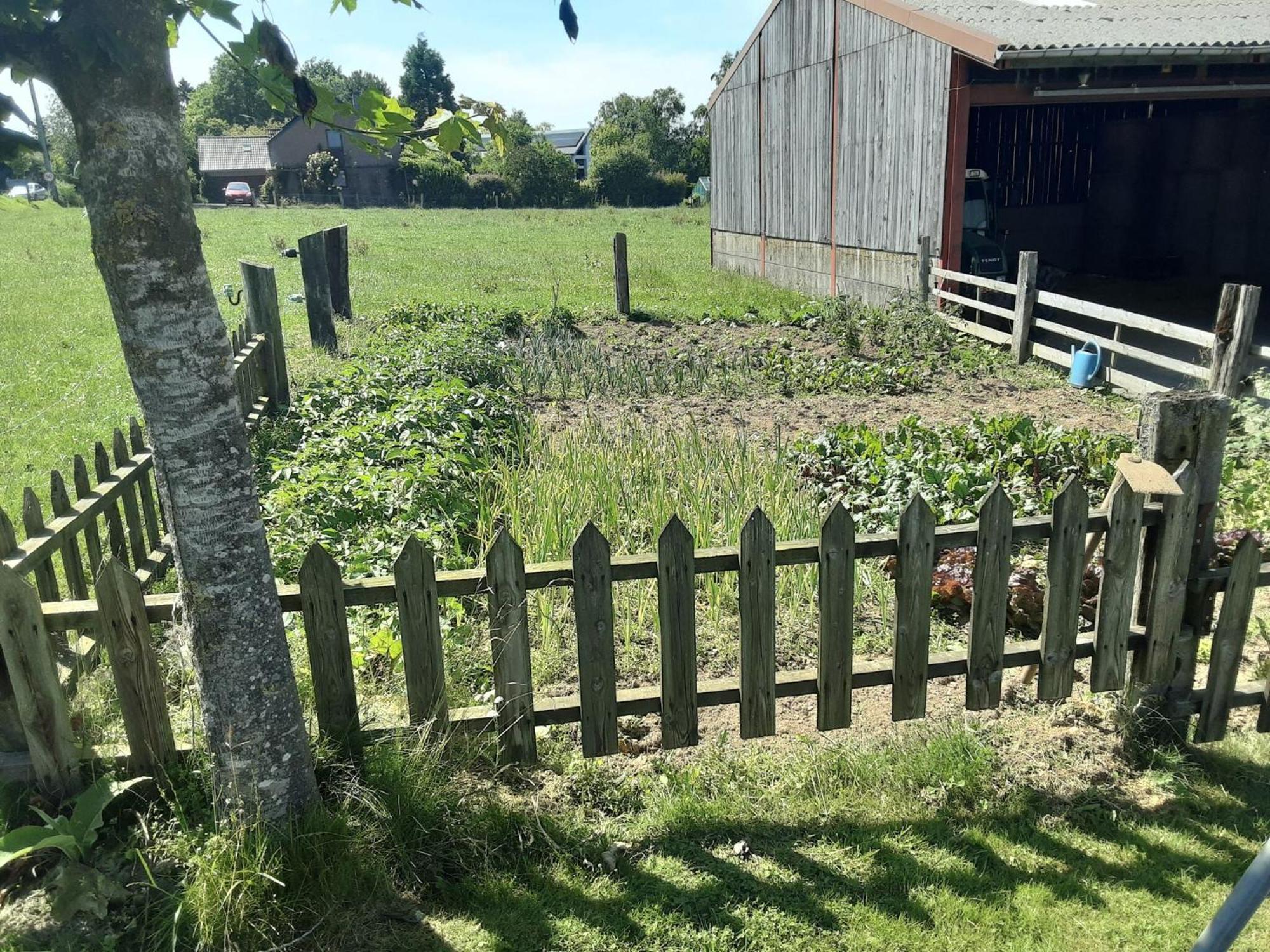 Pretty Farmhouse In Houffalize With Courtyard Eksteriør billede
